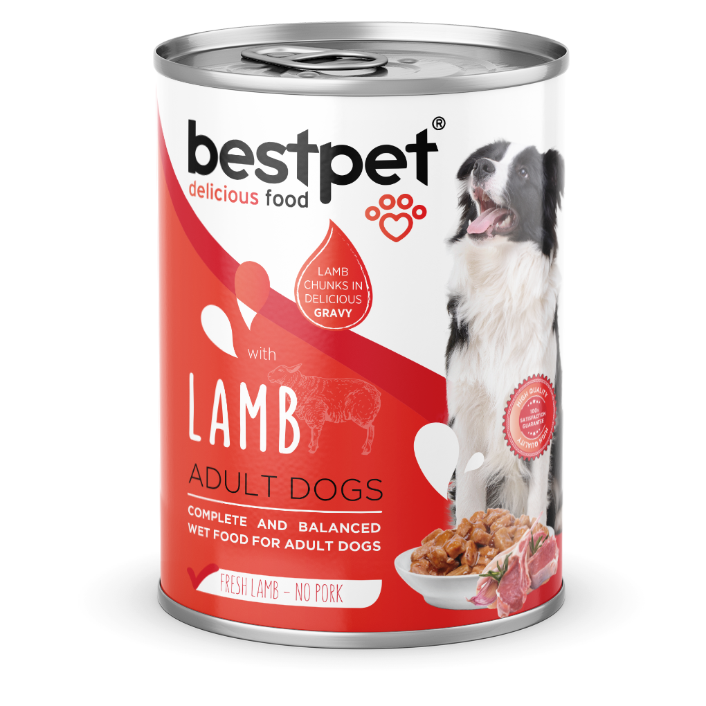 Pack x12 Latas Bestpet Trozos para Perro - Fullerton