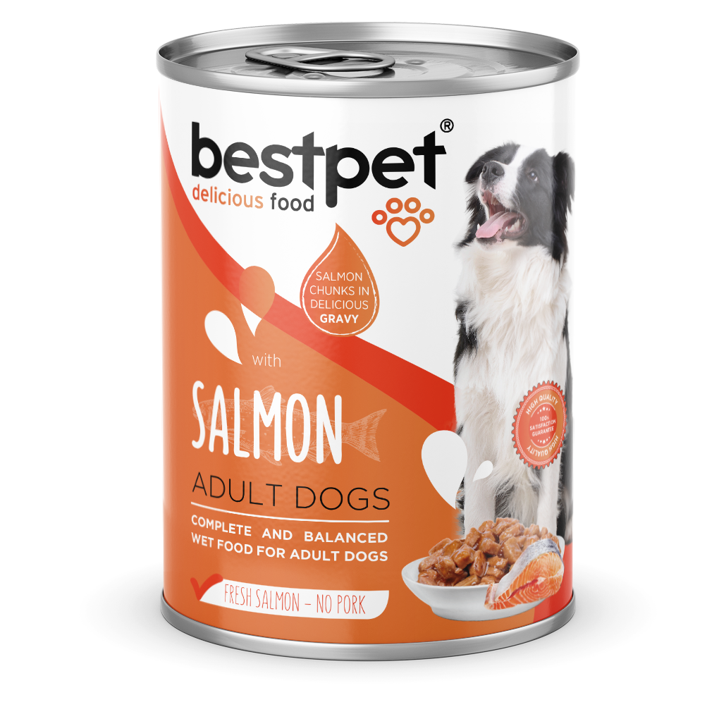 Pack x12 Latas Bestpet Trozos para Perro - Fullerton