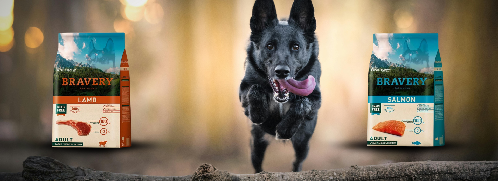 Aliementos Bravery Fullerton Santiago