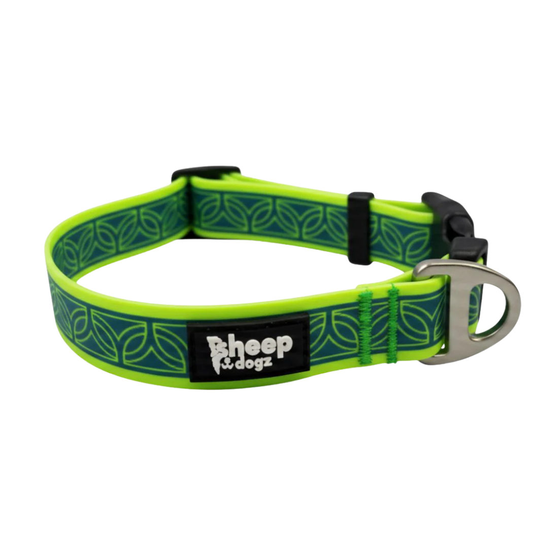 Collar Chagual - Sheepdogz