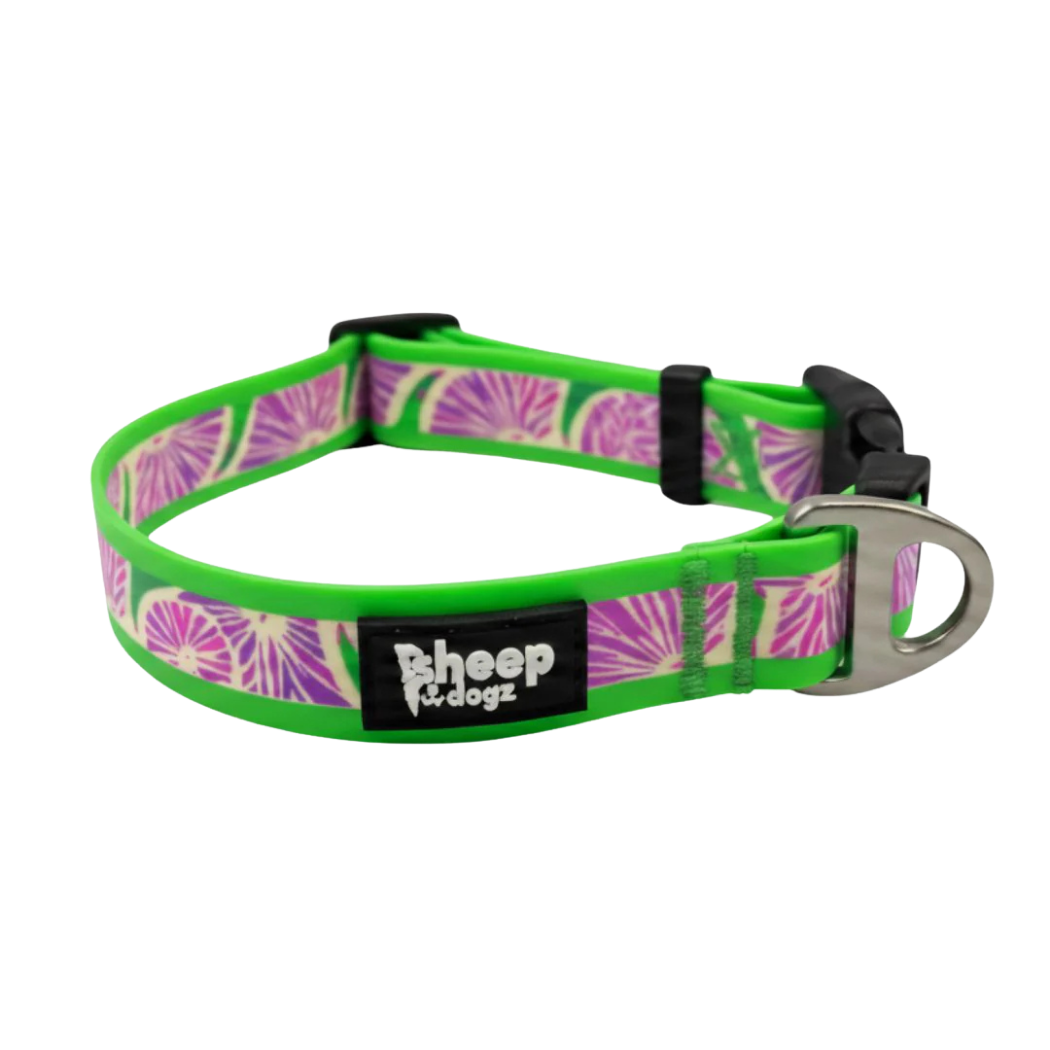Collar Doca - Sheepdogz